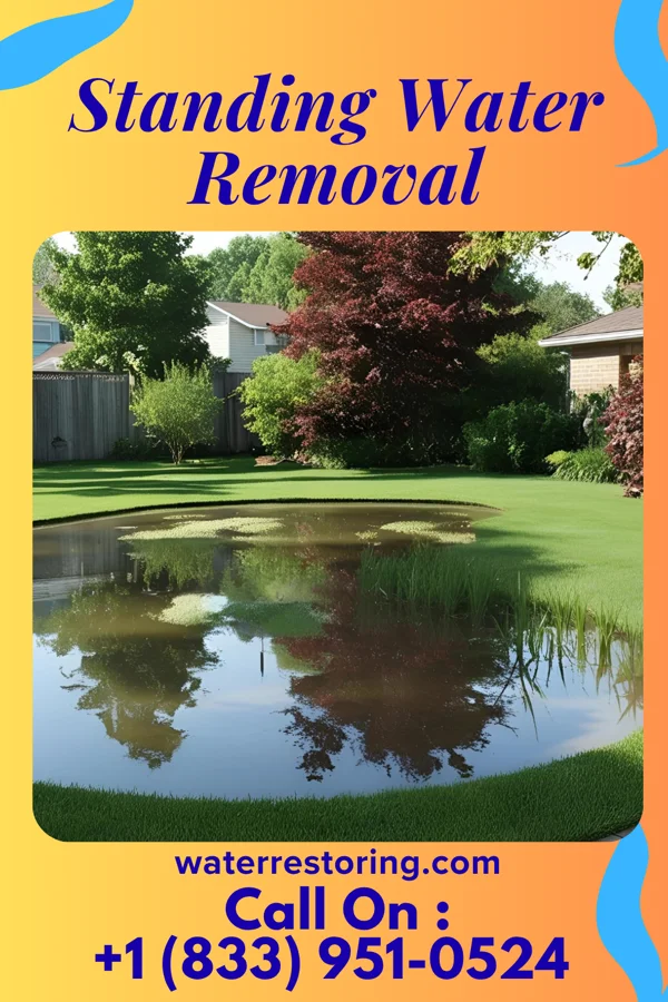Standing Water Removal in Hickman, NE